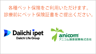 各種ペット保険がご利用頂けます。アイペット・アニコム対応